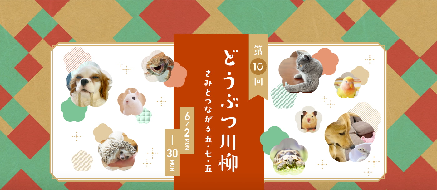 どうぶつ川柳