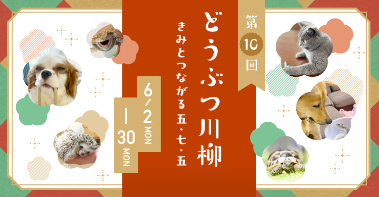 どうぶつ川柳