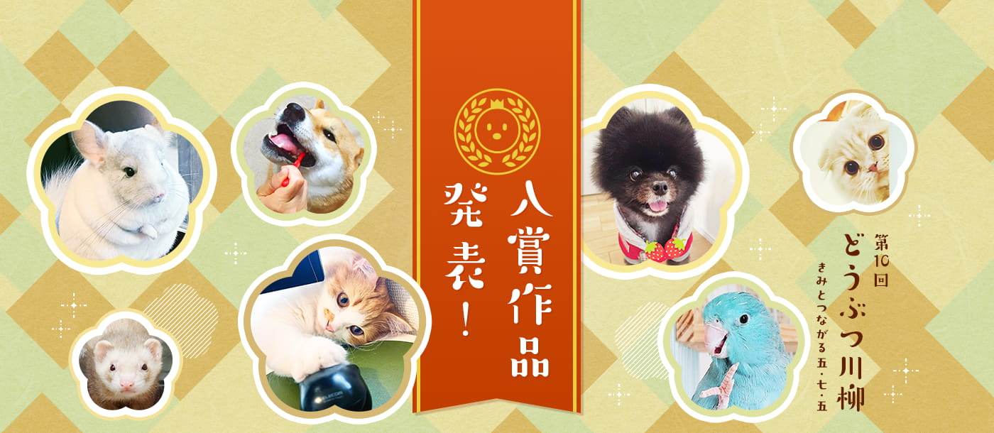 第十回どうぶつ川柳 入賞作品発表