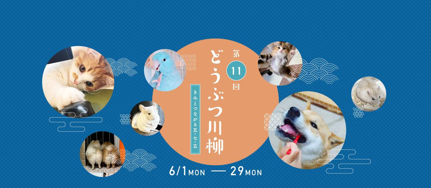 第11回どうぶつ川柳