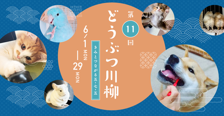 第11回どうぶつ川柳