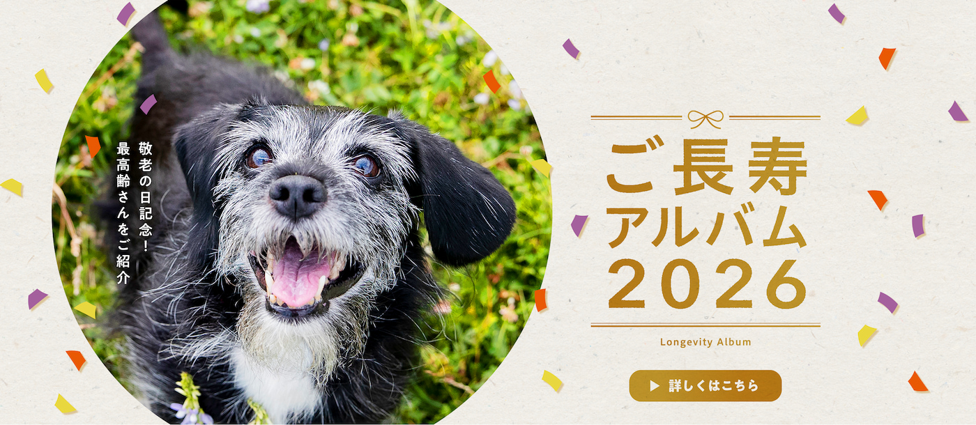 ご長寿アルバム2026