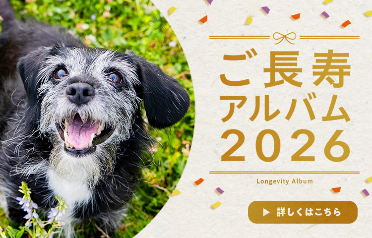ご長寿アルバム2026