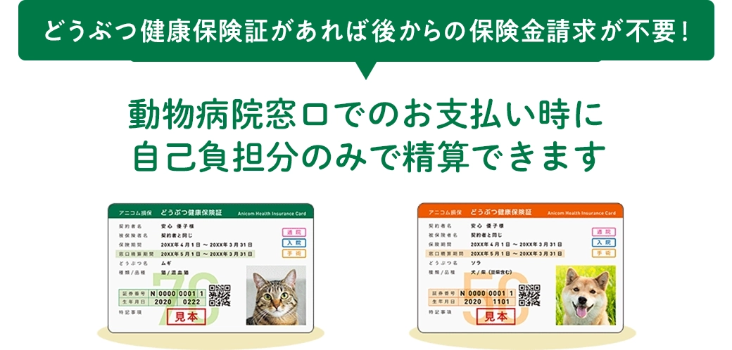 動物病院窓口でのお支払い時に自己負担分のみで精算できます