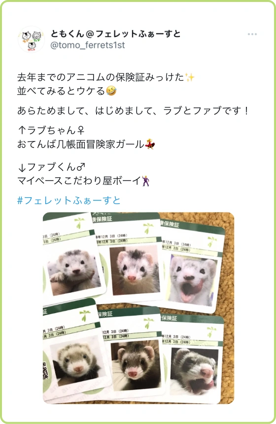 去年までのアニコムの保険証みっけた