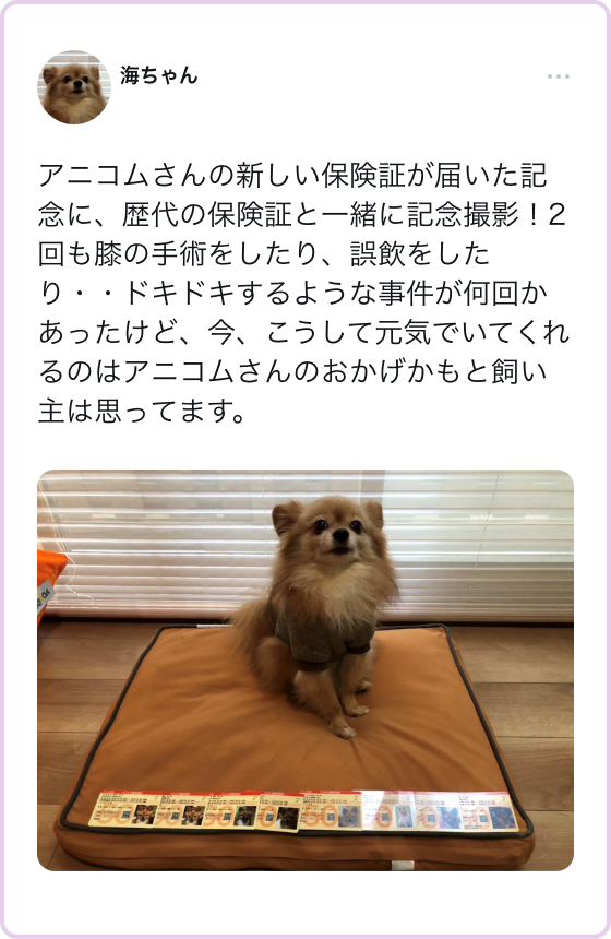 snsでのお客様の声