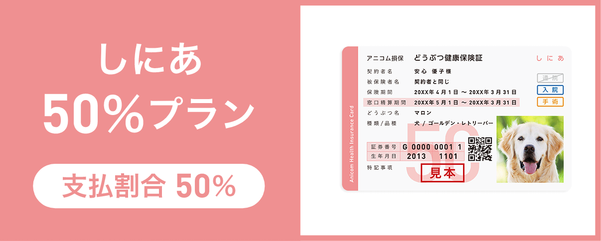 しにあ50％プラン 支払割合 50％