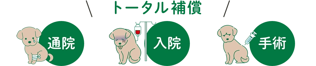 フルカバーで安心の補償 通院 入院 手術