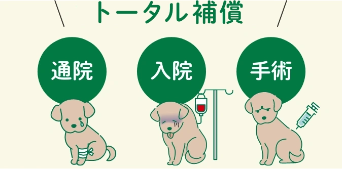 フルカバーで安心の補償 通院 入院 手術