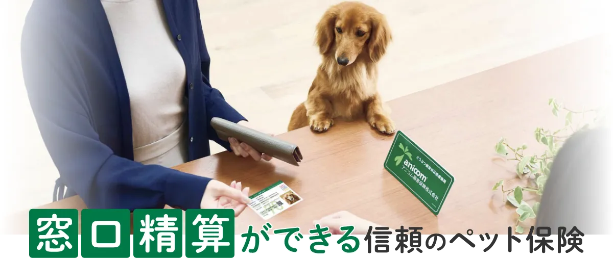 窓口清算ができる信頼のペット保険