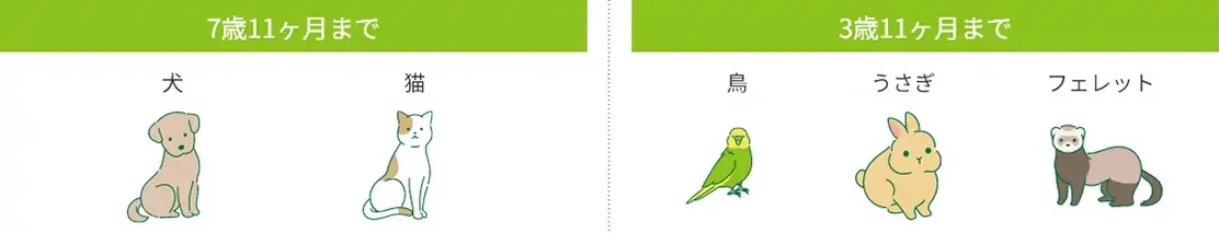 7歳11ヶ月まで：犬・猫、3歳11ヶ月まで：鳥・ウサギ・フェレット