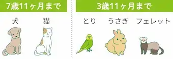 7歳11ヶ月まで：犬・猫、3歳11ヶ月まで：鳥・ウサギ・フェレット