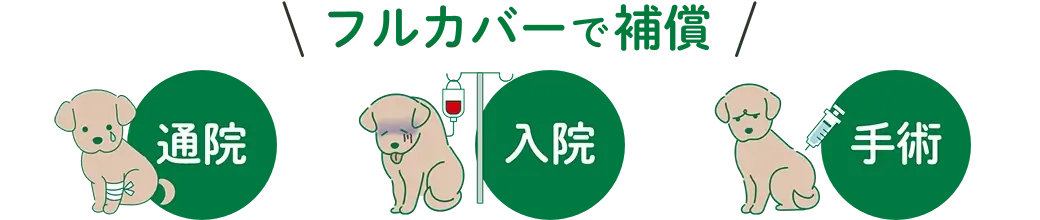 フルカバーで補償