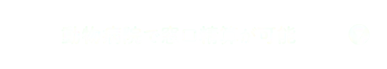 動物病院で窓口精算が可能