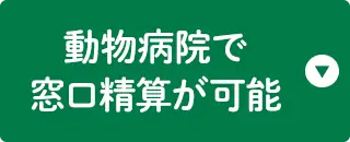 動物病院で窓口精算が可能