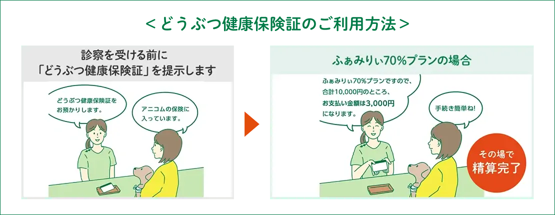 診察を受ける前に「どうぶつ健康保険証」を提示します