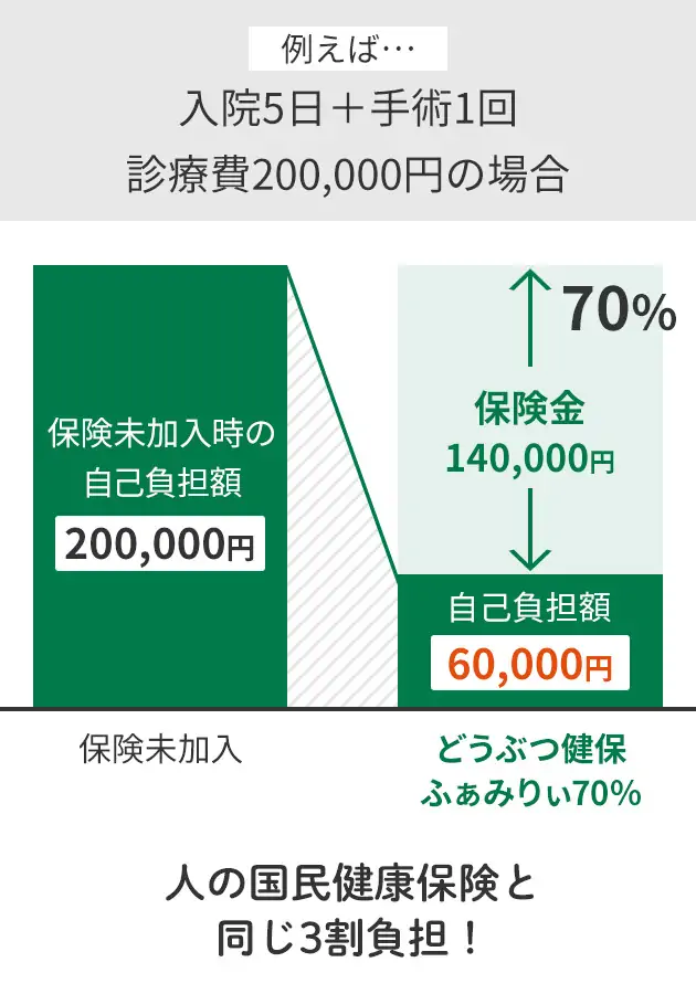 人の国民健康保険と同じ3割負担！