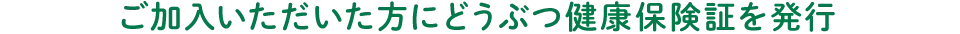 ご加入いただいた方にどうぶつ健康保険証の発行