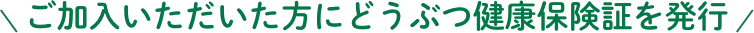 ご加入いただいた方にどうぶつ健康保険証を発行