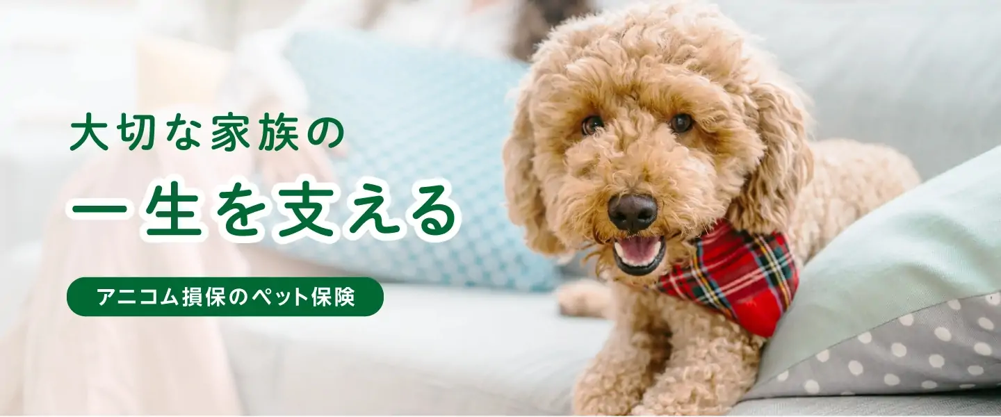 大切な家族の一生を支える 信頼のペット保険