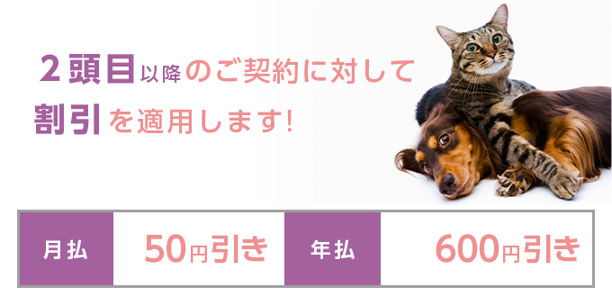 2頭目以降のご契約に対して割引を適用します！