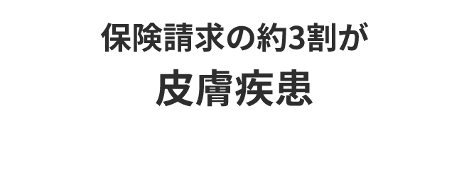 保険請求の約3割が皮膚疾患