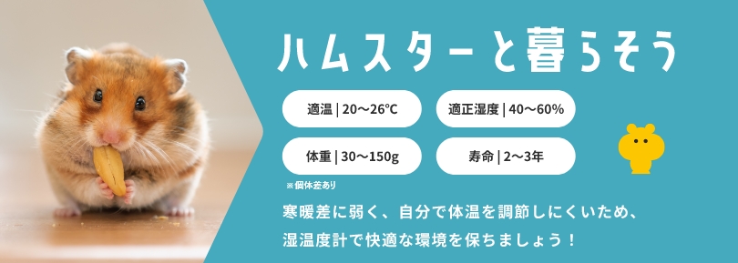 ハムスターと暮らそう