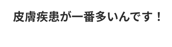 皮膚疾患が一番多いんです！