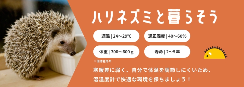 ハリネズミと暮らそう