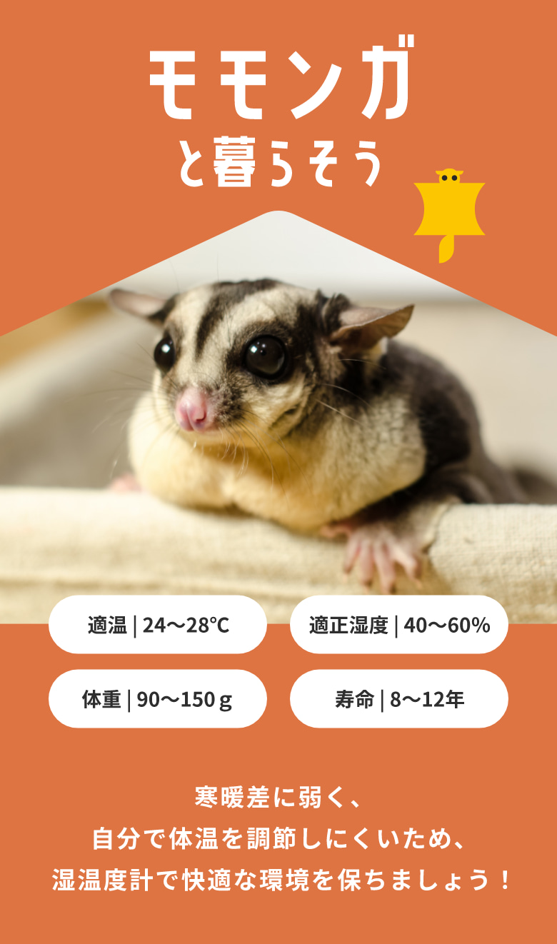 モモンガと暮らそう