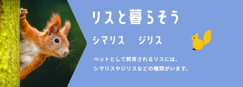 リスと暮らそう