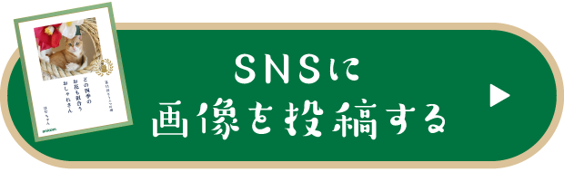 SNSに画像を投稿する