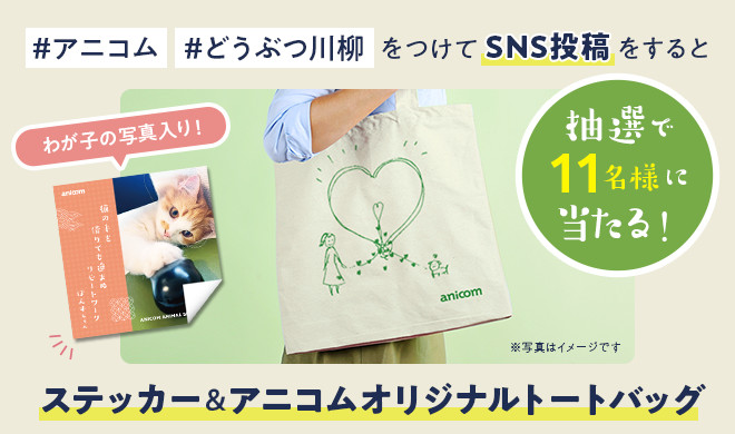 #アニコム #どうぶつ川柳をつけてSNS投稿すると抽選で11名様に当たる！ステッカー＆アニコムオリジナルトートバッグ