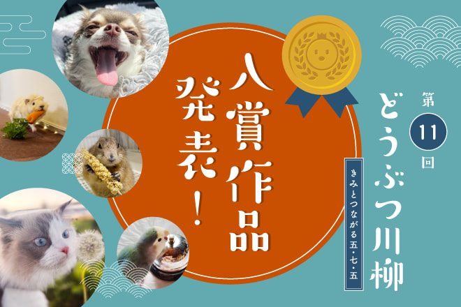第十一回どうぶつ川柳入賞作品発表