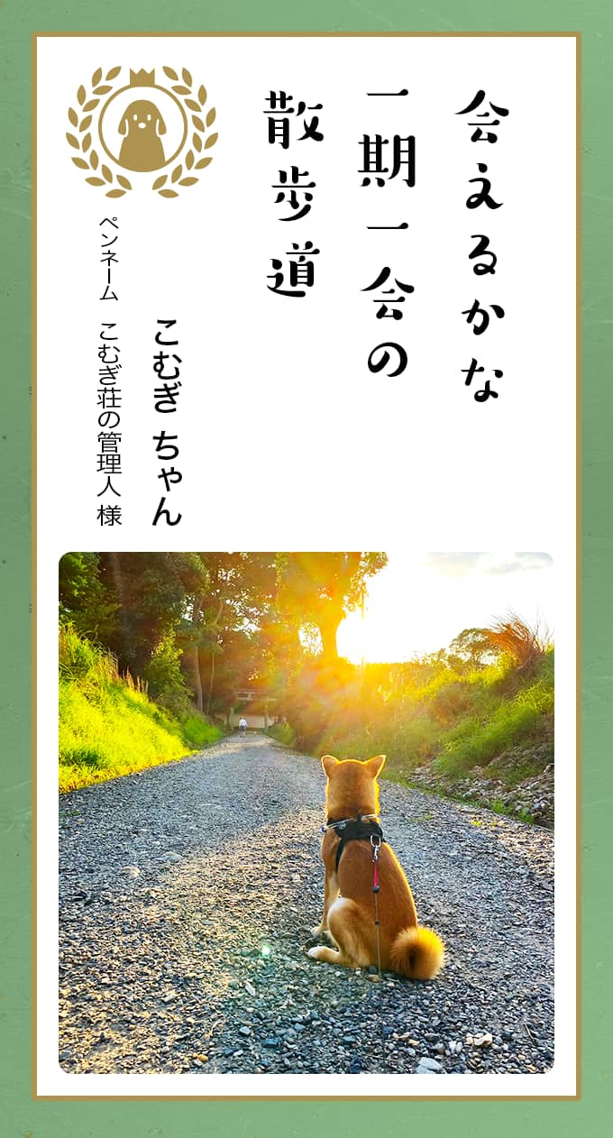 第八回どうぶつ川柳 │ ペット保険のご契約は【アニコム損保】