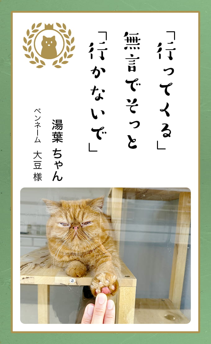 第八回どうぶつ川柳 │ ペット保険のご契約は【アニコム損保】