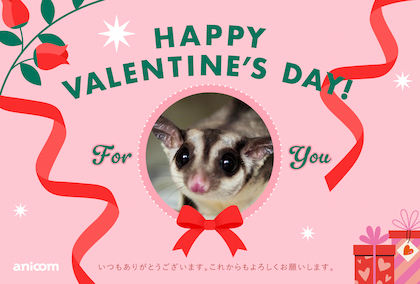 happy valentine's day!